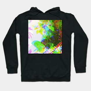 Butterleaf 1 Hoodie